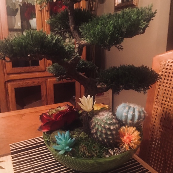 Bonsai Tree arrangement extremely life-like. - Picture 4 of 7